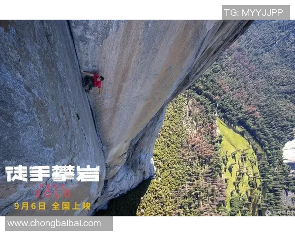 攀岩比赛权威发布实力榜单揭晓经验与实力的全面对比分析